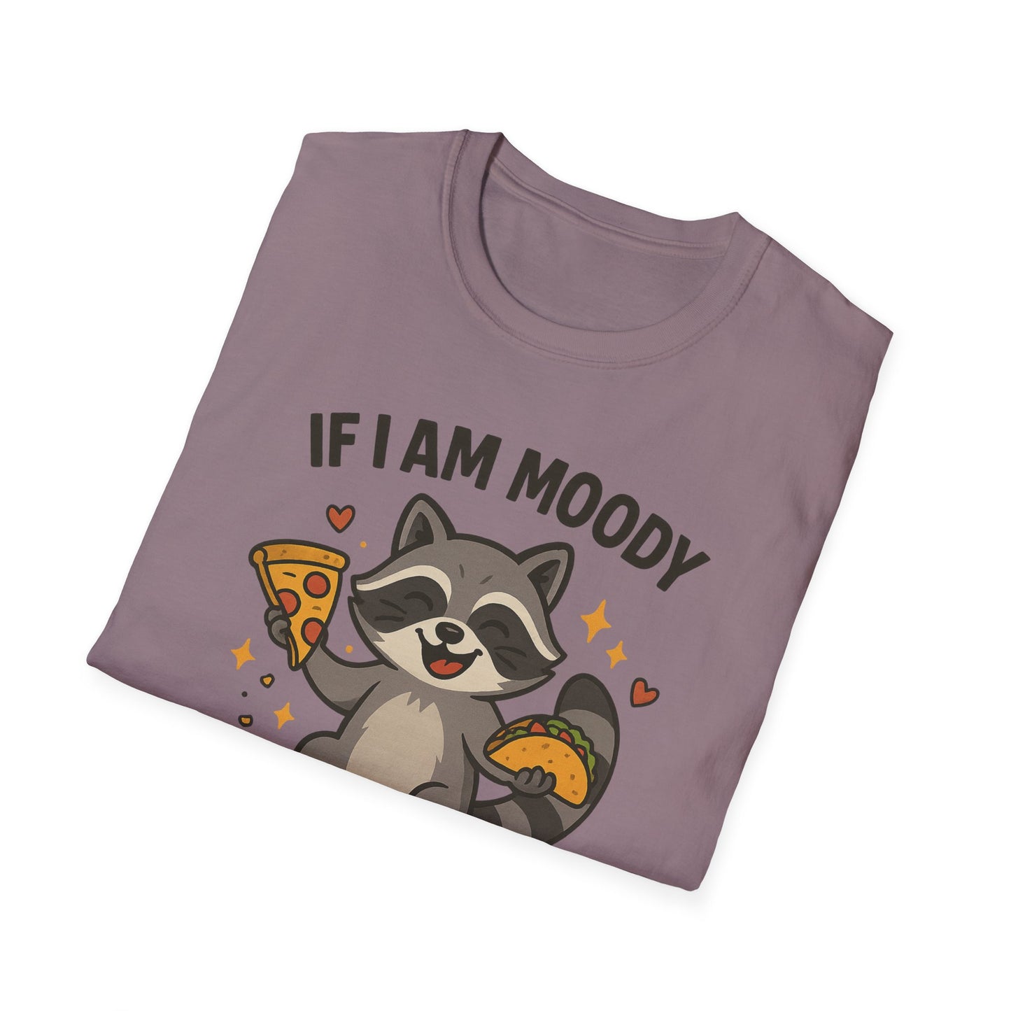 Funny Moody Raccoon T-Shirt - 'If I Am Moody Then Give Me Foody'