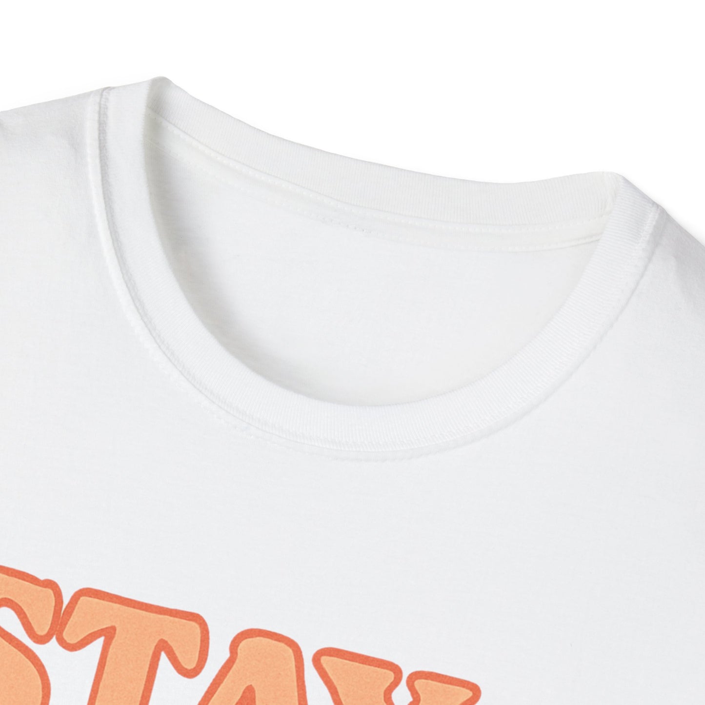 "Stay Cool" Vintage Unisex Softstyle T-Shirt