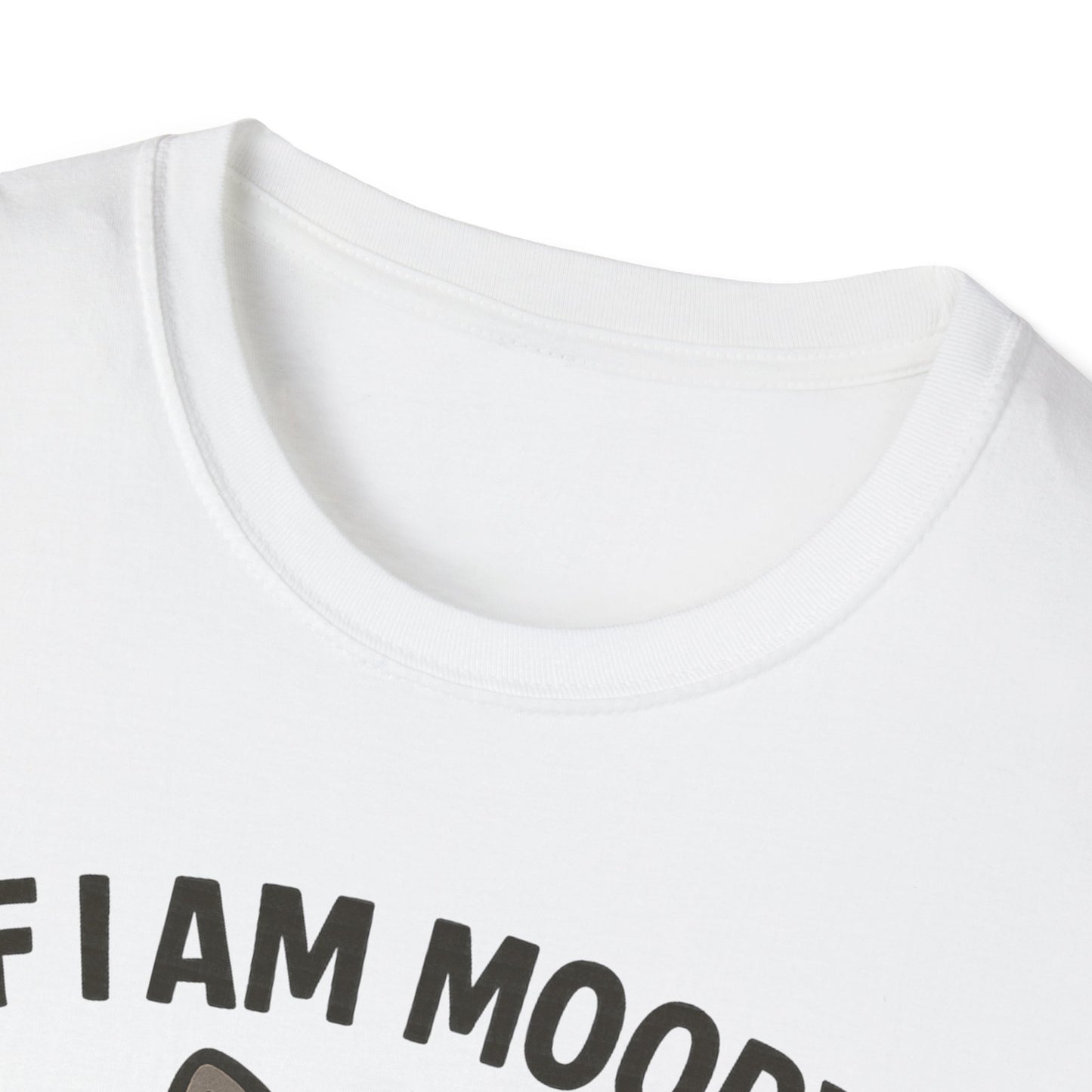 Funny Moody Raccoon T-Shirt - 'If I Am Moody Then Give Me Foody'